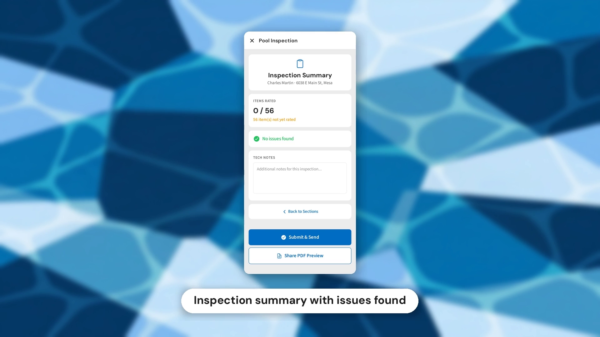 Inspection summary with issues count and submit button