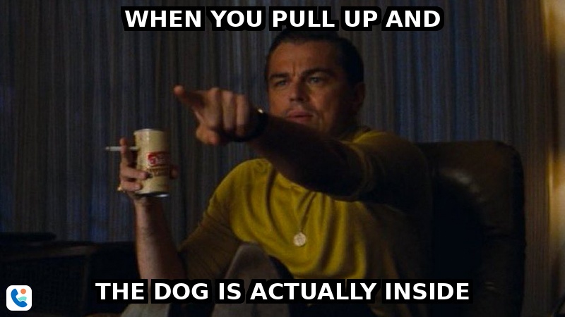 Leonardo DiCaprio pointing - when the customer actually put the dog inside