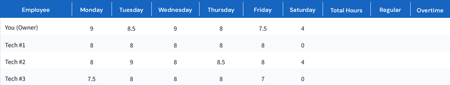 Employee Time & Payroll Tracker preview